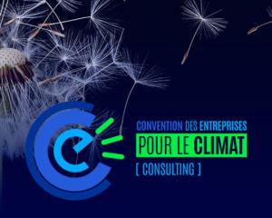 Parcours Birdeo - CEC Consulting 2023